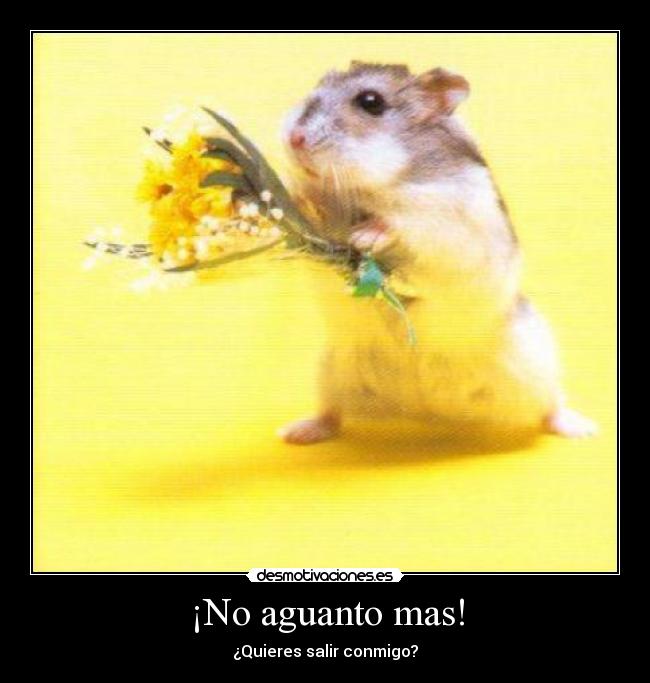 ¡No aguanto mas! - 