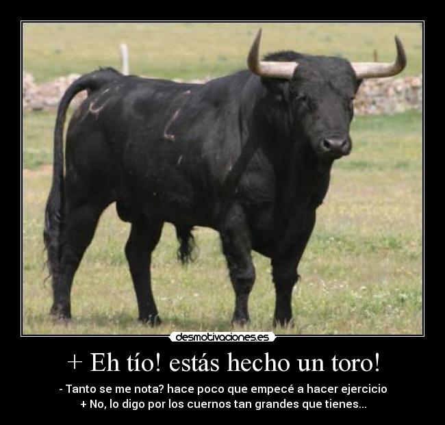 + Eh tío! estás hecho un toro! - 