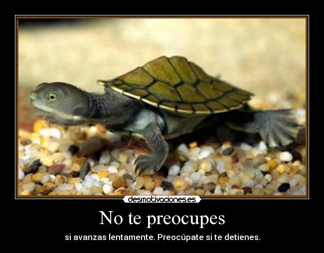 No te preocupes - si avanzas lentamente. Preocúpate si te detienes.