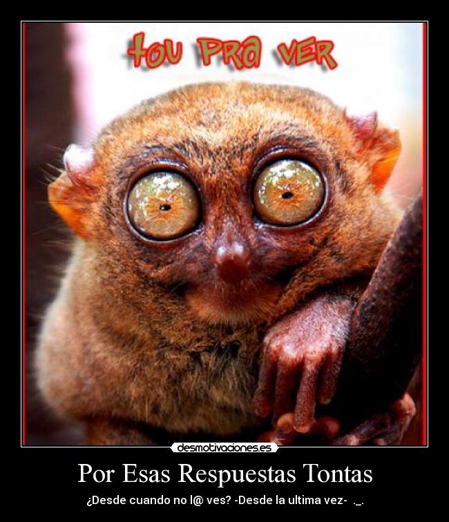 Por Esas Respuestas Tontas - ¿Desde cuando no l@ ves? -Desde la ultima vez- ._.