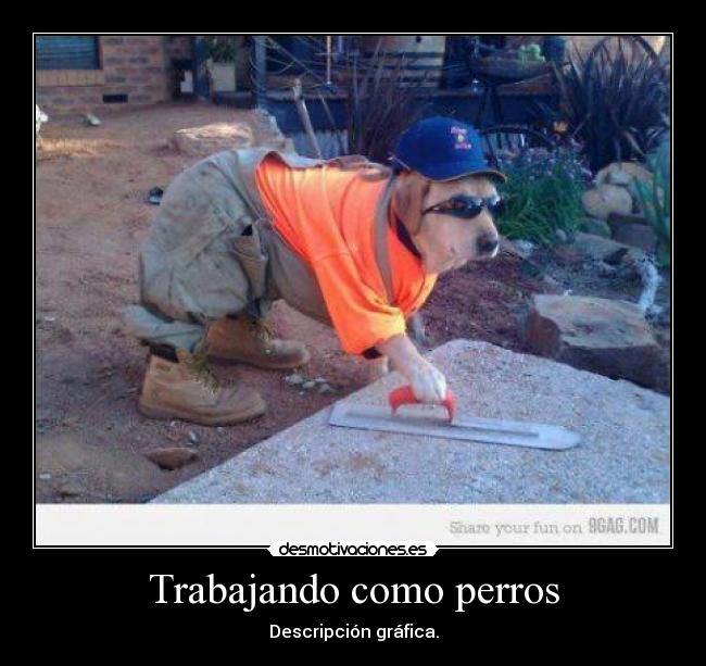 carteles trabajando como perros descripcion grafica desmotivaciones