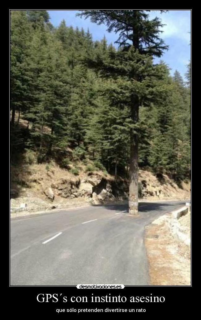 carteles que molesto oir voz dioooooooooos ganas matar estan entranndo desmotivaciones