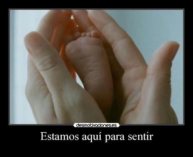 Estamos aquí para sentir - 