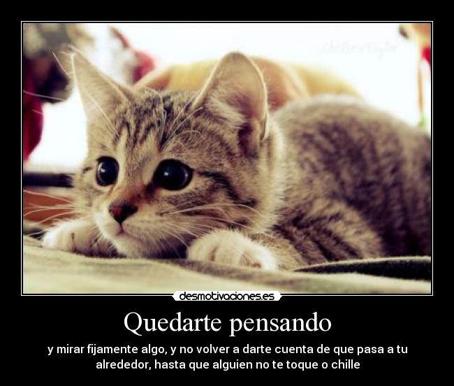 Quedarte pensando -