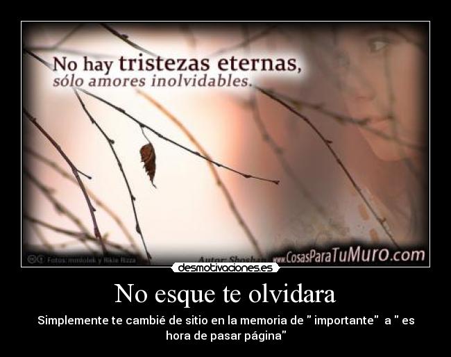 No esque te olvidara - Simplemente te cambié de sitio en la memoria de  importante  a  es
hora de pasar página