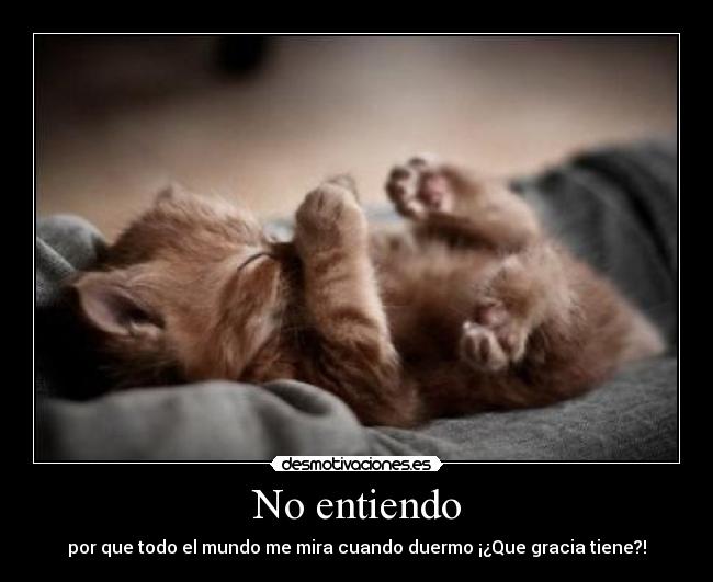 No entiendo - por que todo el mundo me mira cuando duermo ¡¿Que gracia tiene?!