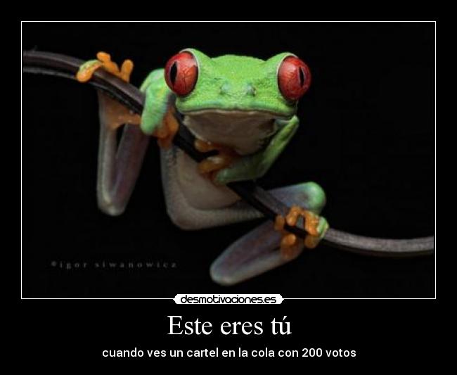 Este eres tú - cuando ves un cartel en la cola con 200 votos