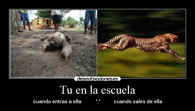 Tu en la escuela - cuando entras a ella °.° cuando sales de ella