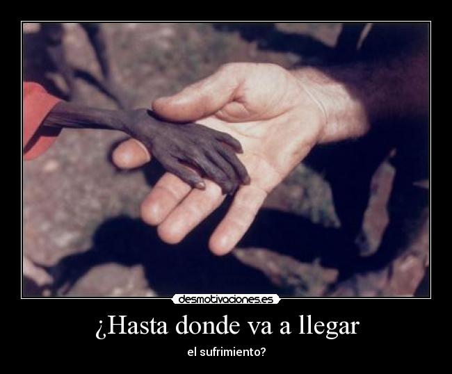 ¿Hasta donde va a llegar - 