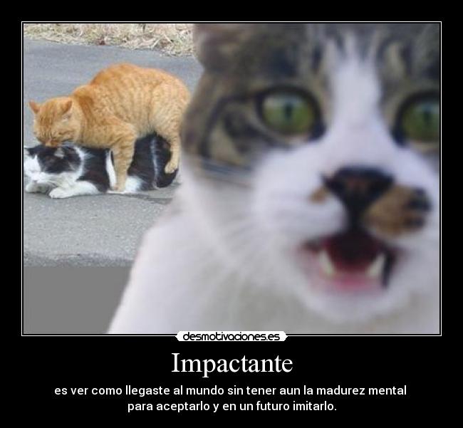 Impactante - es ver como llegaste al mundo sin tener aun la madurez mental
para aceptarlo y en un futuro imitarlo.