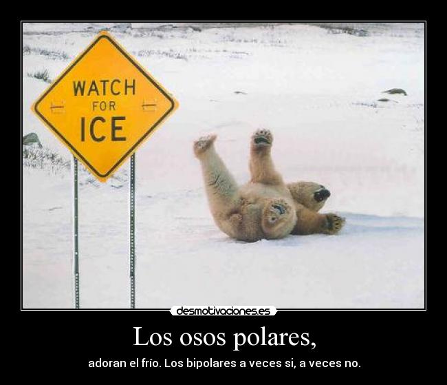 Los osos polares, -