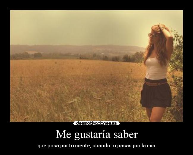 Me gustaría saber - 