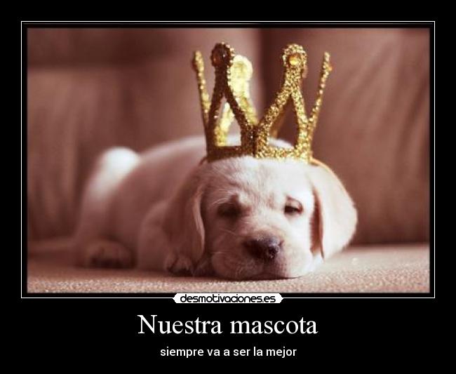 Nuestra mascota -