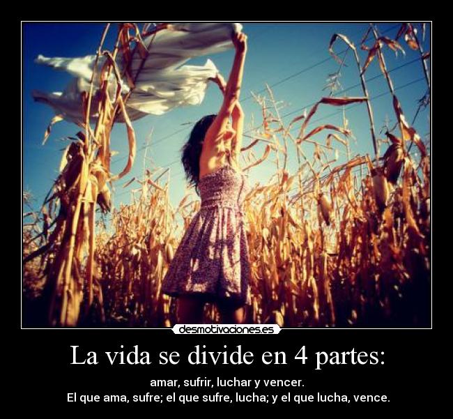 carteles vida loquissimmaas3 desmotivaciones