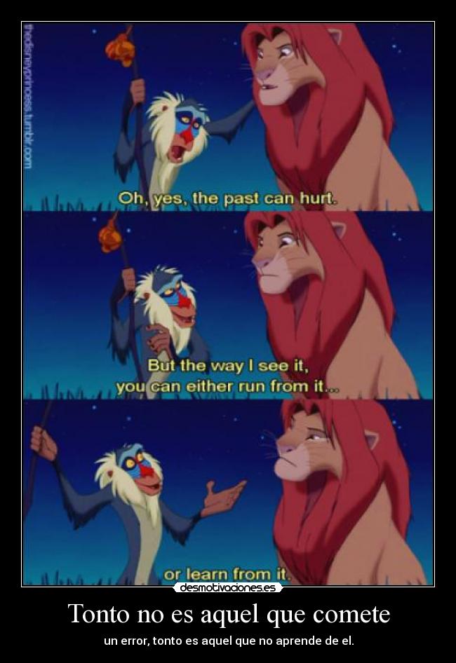 carteles tonto rey leon simba rafiki todos cometemos errores importante aprender ellos desmotivaciones