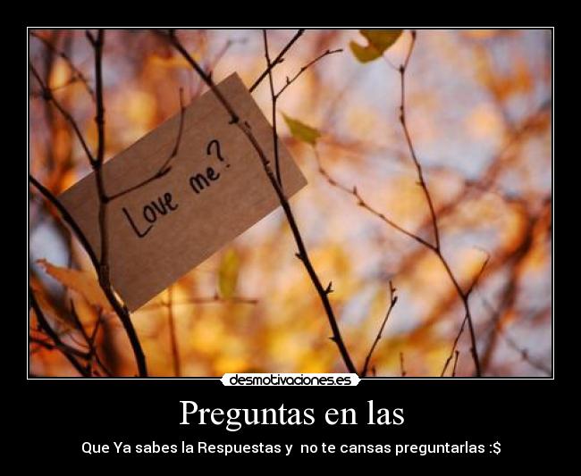 Preguntas en las - 