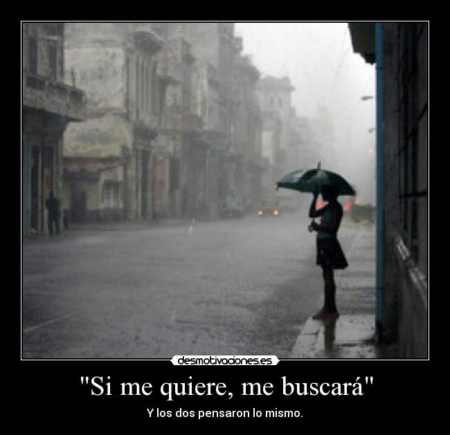 Si me quiere, me buscará - 