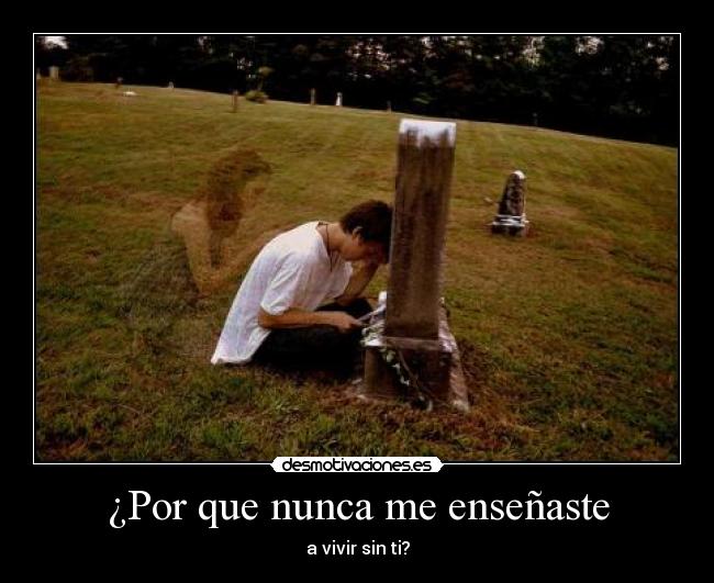 ¿Por que nunca me enseñaste - 
