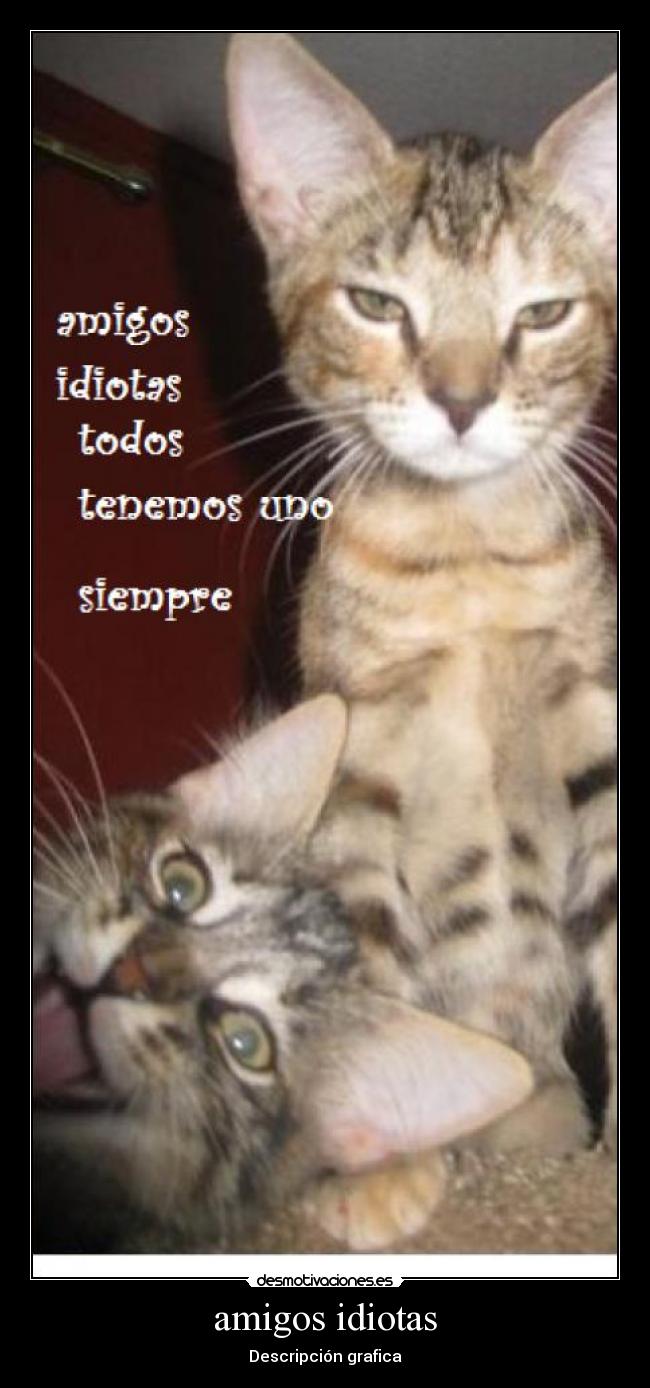 amigos idiotas -