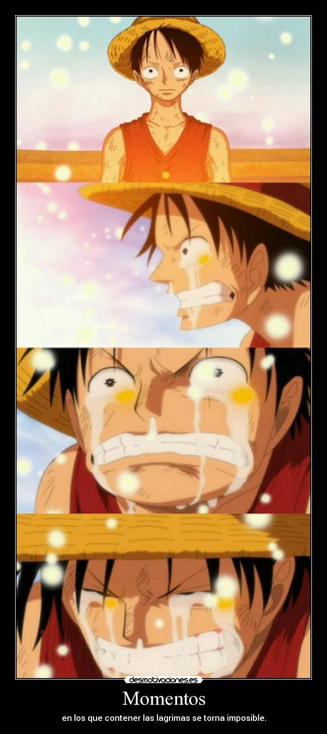 carteles one piece luffy despedida going merry desmotivaciones