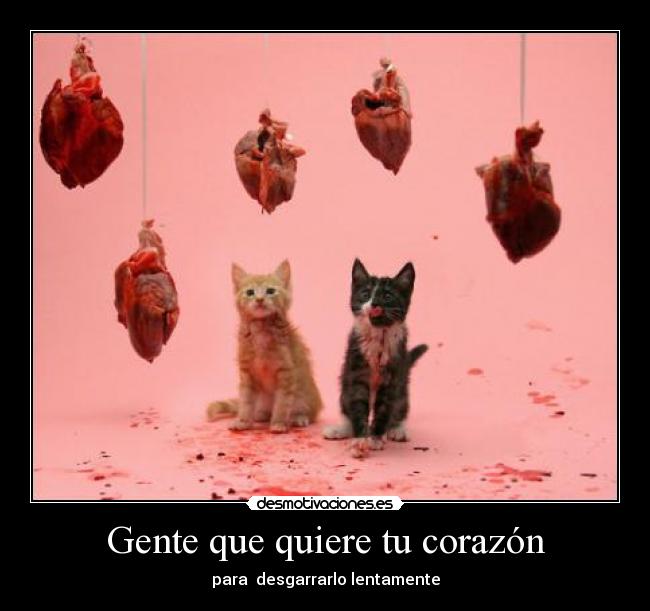 carteles corazon gatitos sanguinarios crislang desmotivaciones
