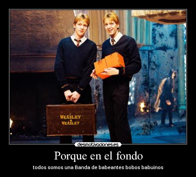 carteles minerva mcgonagall gemelos weasley veces caliz fuego desmotivaciones