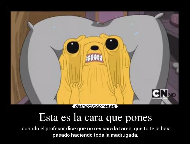 Esta es la cara que pones - cuando el profesor dice que no revisará la tarea, que tu te la has
pasado haciendo toda la madrugada.