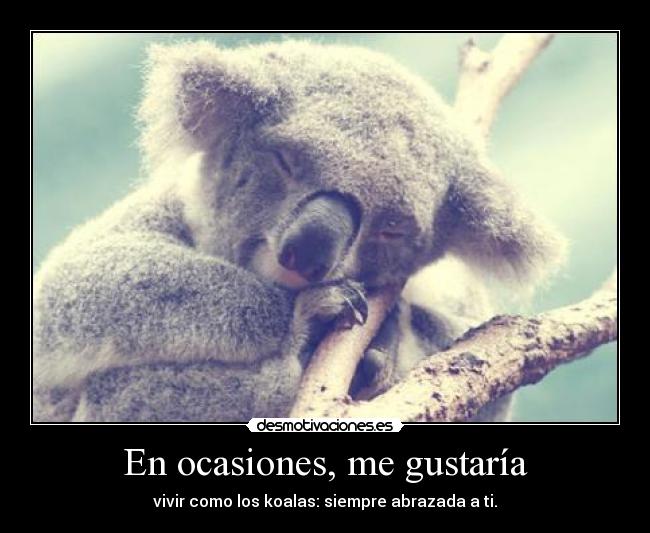 carteles tfhf desmotivaciones