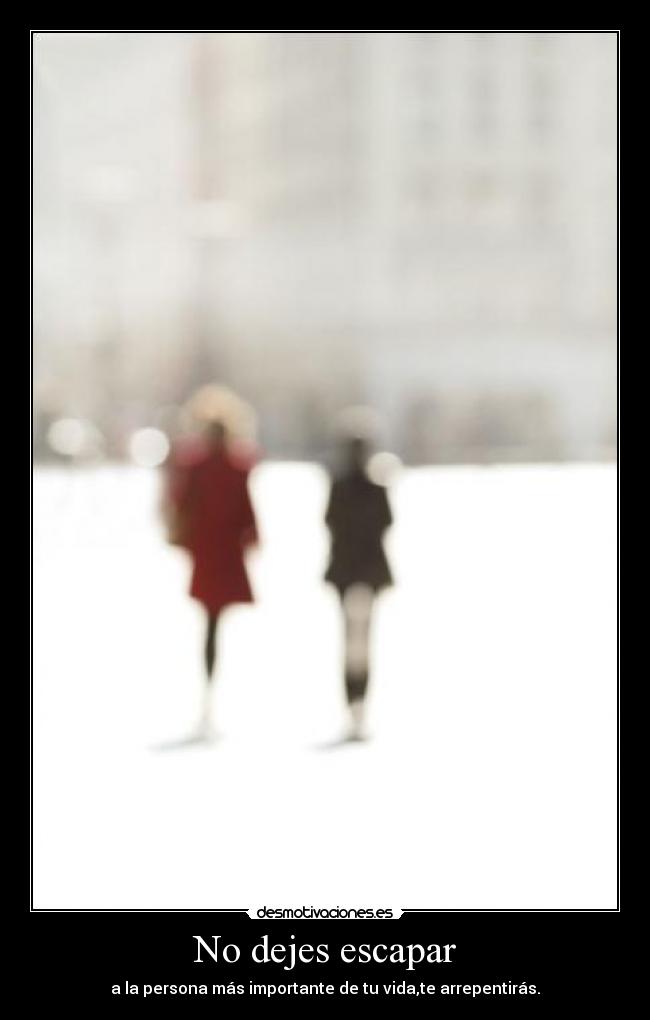 No dejes escapar - 