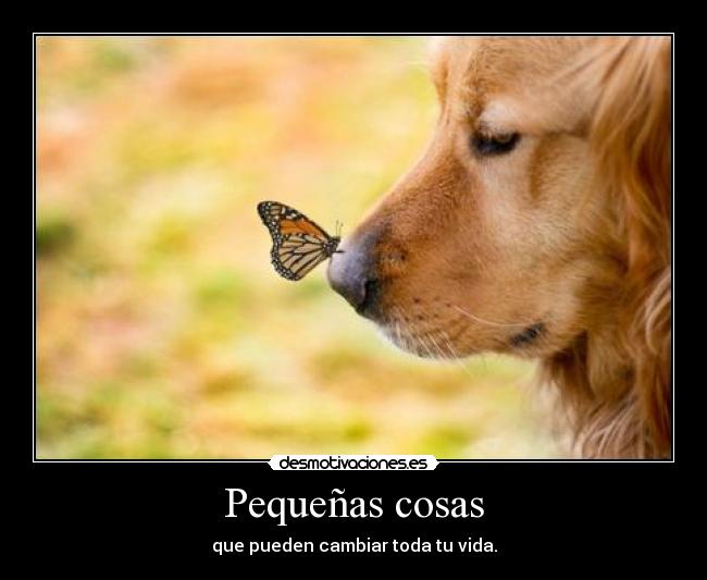 carteles geaninamiau desmotivaciones