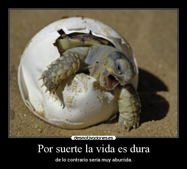 Por suerte la vida es dura - de lo contrario sería muy aburrida.