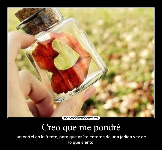 Creo que me pondré -