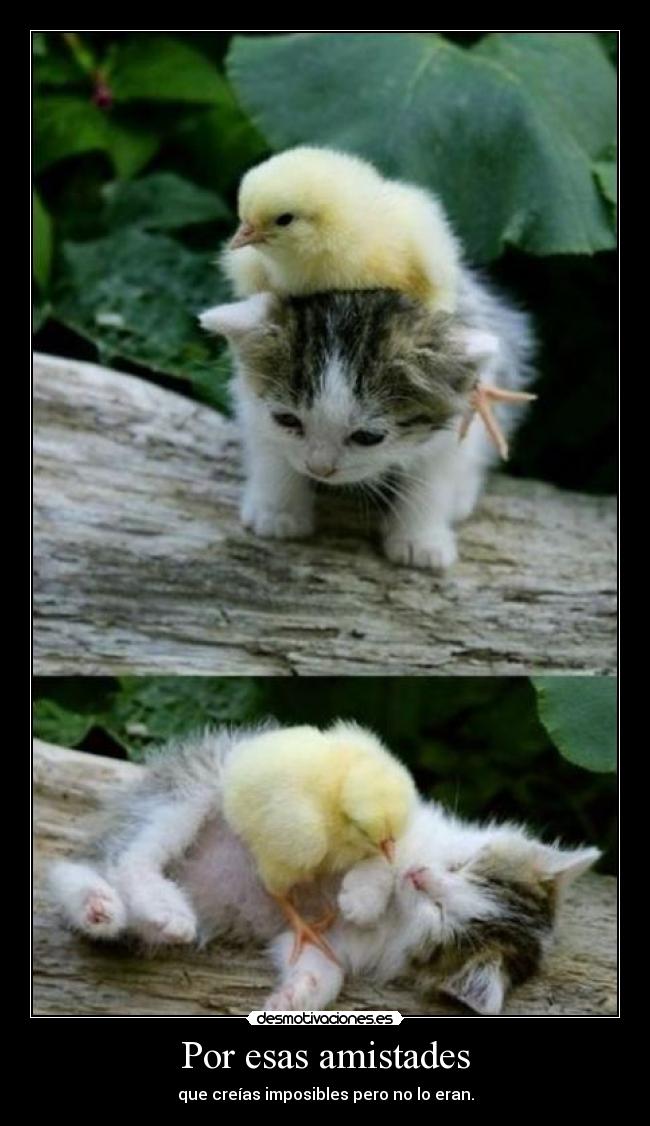 Por esas amistades -