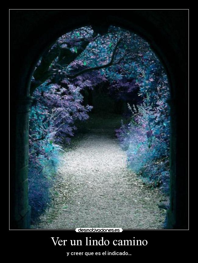 Ver un lindo camino - y creer que es el indicado…