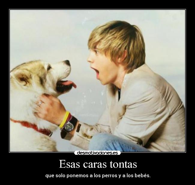 carteles jesse mccartney perros perro desmotivaciones