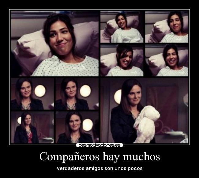 Compañeros hay muchos - verdaderos amigos son unos pocos