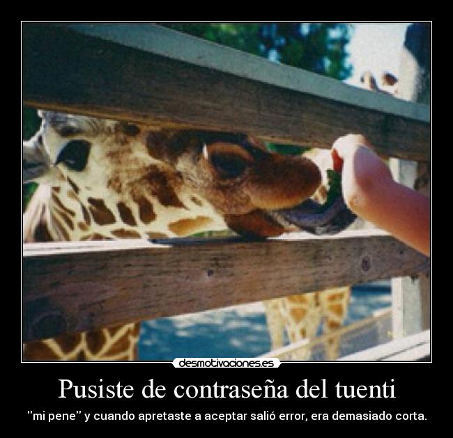 carteles tuenti desmotivaciones