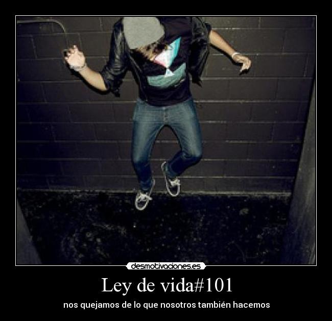 Ley de vida#101 - 