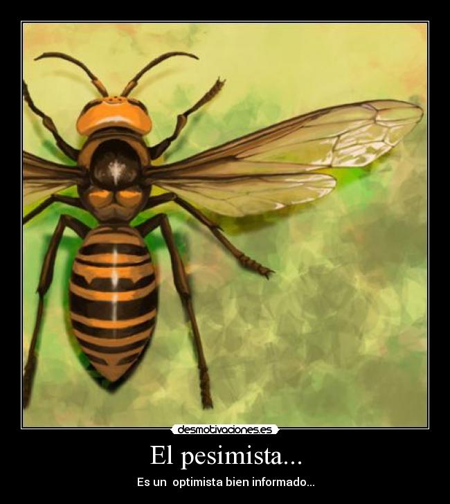 El pesimista... - Es un  optimista bien informado...