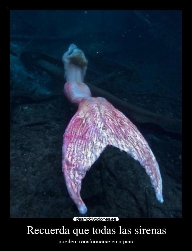 Recuerda que todas las sirenas - pueden transformarse en arpías.
