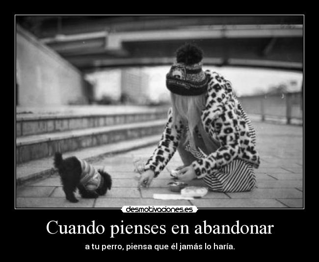 Cuando pienses en abandonar - a tu perro, piensa que él jamás lo haría.