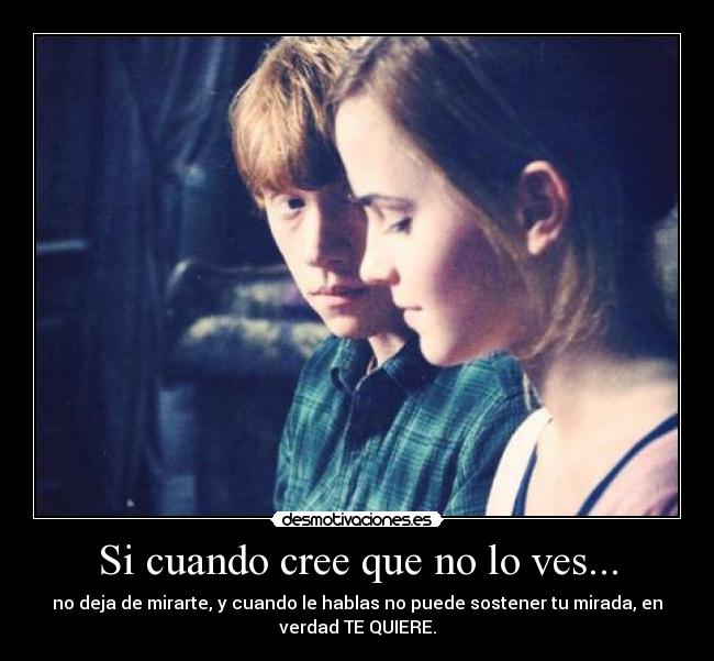 Si cuando cree que no lo ves... - 