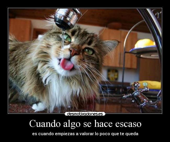 Cuando algo se hace escaso -