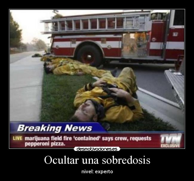 Ocultar una sobredosis - nivel: experto