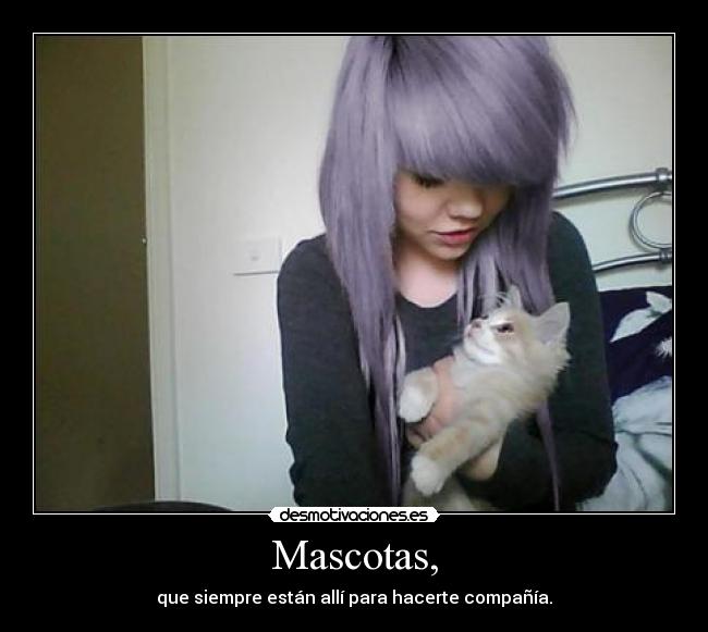 Mascotas, - que siempre están allí para hacerte compañía.