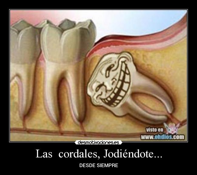 Las cordales, Jodiéndote... - DESDE SIEMPRE