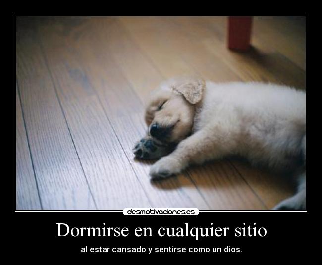 Dormirse en cualquier sitio - 