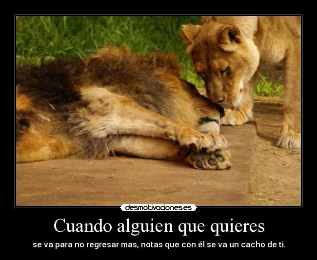 Cuando alguien que quieres - 