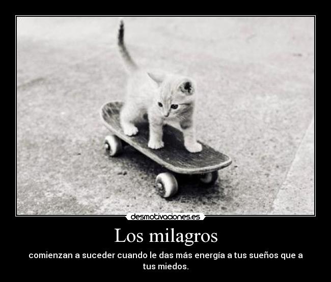 Los milagros -