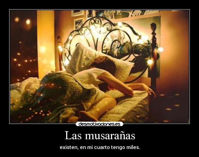 Las musarañas - existen, en mi cuarto tengo miles.